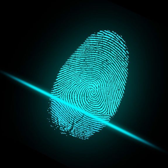 Fingerprint Verification