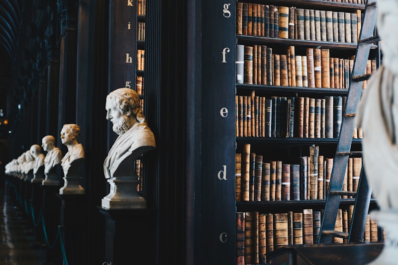 Expert Testimony & Legal Support